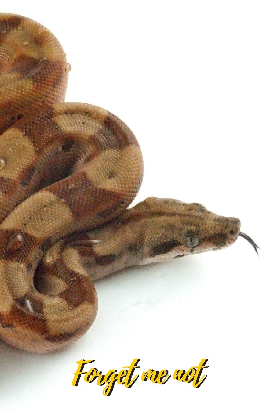 reptile selling websites