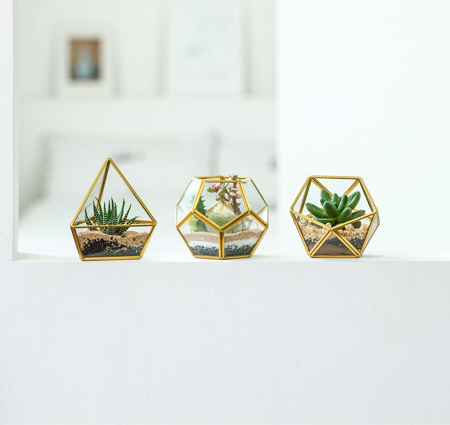 Mkono Mini Glass Geometric Terrarium Container Set of 3 Modern Tabletop Planter Windowsill Decor Shelves DIY Display Box Centerpiece Gift for Succulent Air Plant Miniature Fairy Garden, Gold, 4": Garden & Outdoor