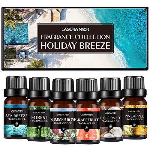 Fragrance Essential Oil - Organic 6pc Holiday Breeze Scent Gift Set - Perfect for Candle Making, Soap Scents, Slime…
