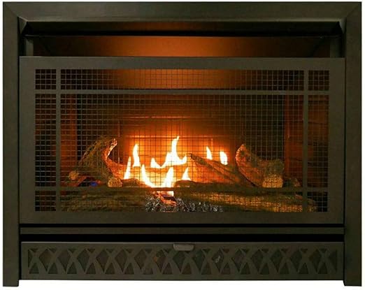 Ventless Natural Gas Fireplace Insert - Amazon Com Ventless Gas Fireplace Insert Duel Fuel 26 000btu Fbnsd28t Bossette Boutique Home Kitchen