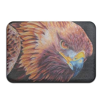 Amazoncom Haidilun Sharp Eye Golden Eagle Colored Drawing