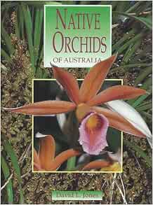 A field guide to Australian Orchids - David L Jones