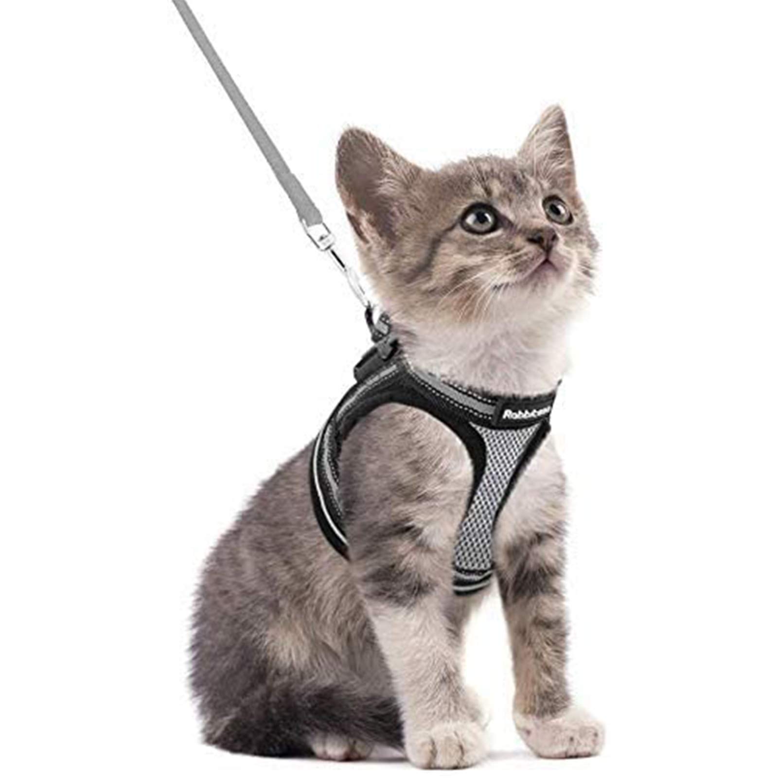 Photo 1 of rabbitgoo Cat Harness and Leash Set for Walking Escape Proof, Adjustable Soft Kittens Vest with Reflective Strip for Cats, Comfortable Outdoor Vest, Grey, S