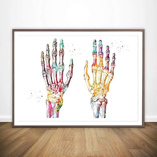 Download Os du Pied Quatre Types de Muscles Neurones Main vaisseaux sanguins du Corps Humain et la Science médicale Anatomical Poster Accueil Décor du No Frame Suspendu Peintures Haute qualité PDF
