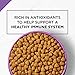 Purina Pro Plan Dry Dog Food, SPORT Active 26/16 Formula - 37.5 lb. Bag