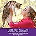 Wellness Kittles Crunchy Natural Grain Free Cat Treats, Salmon & Cranberries, 2-Ounce Bag