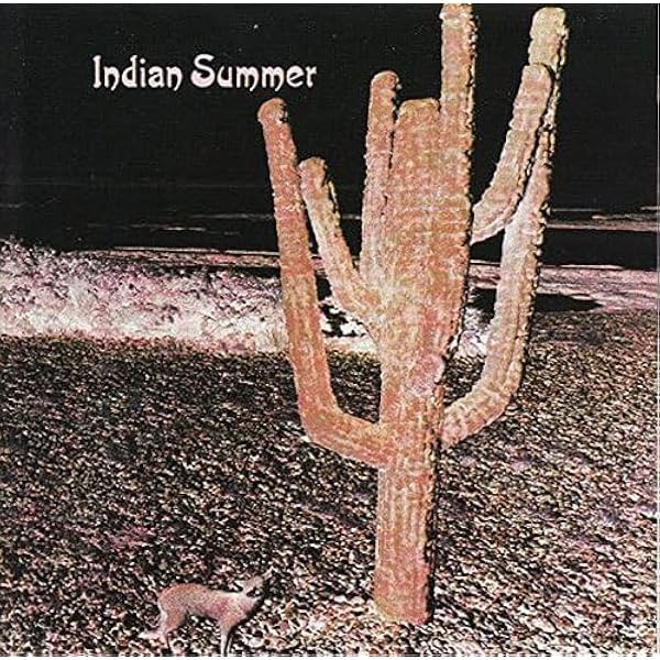 Amazon.com: Indian Summer: CDs & Vinyl