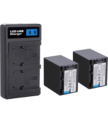 Wasabi Power 2-Pack Battery For Sony NP-FV100 (3900mAh) | Camcorder Replacement