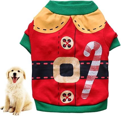 Cane Vestito Da Babbo Natale Foto Premium