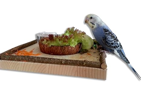 Sitzbrett mit Kokosschale Futternapf zum Herausnehmen. Pfiffiges Vogelspielzeug und Futterbrett!!