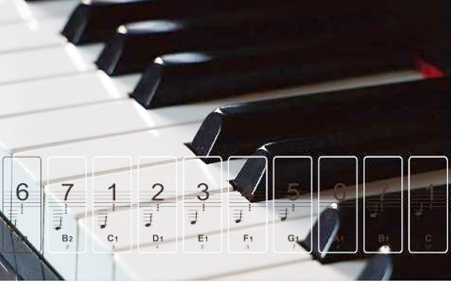 Amazon ピアノ 用 鍵盤 ステッカー シール 初心者 練習 ピアノ