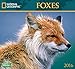 Foxes National Geographic 2016 Wall Calendar
