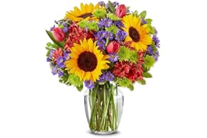 From You Flowers - Lush Sunflower Garden with Glass Vase | Fresh Flower Bouquets for Birthday, Anniversary, Get Well or Celebration