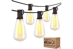 WENFENG Outdoor String Lights, 50FT 2200K LED Patio Lights with ST38 Waterproof Bulbs, Retro Connectable String Lights for Patio Backyard Balcony