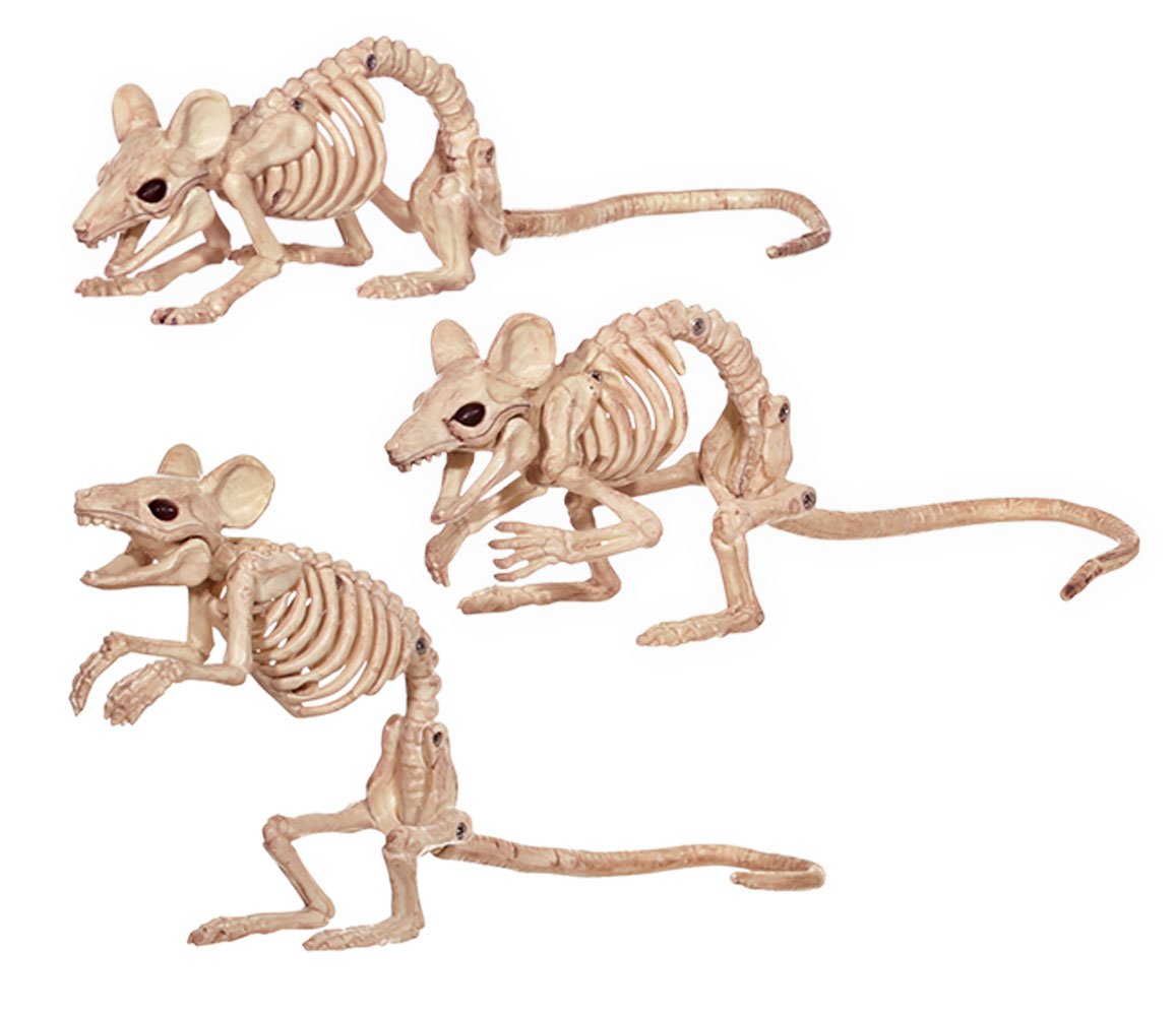 Crazy BonezCreepy Skeleton Mice