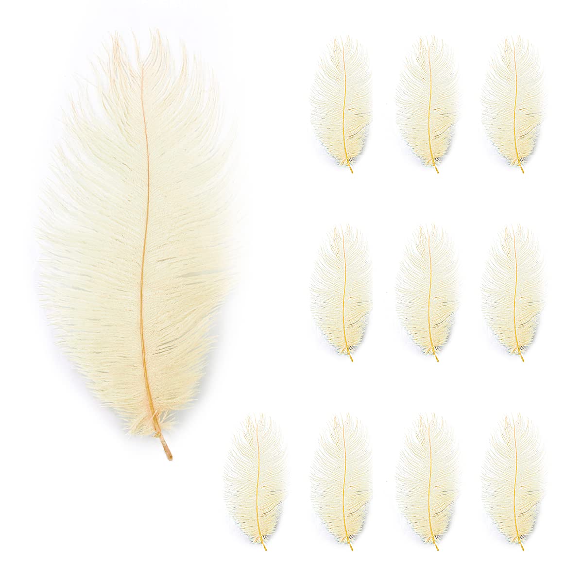 10Pcs Ostrich Feathers, Jagowa 20-25cm Natural Ostrich Feathers Plume for Home Wedding Party Decoration, DIY Craft (White)