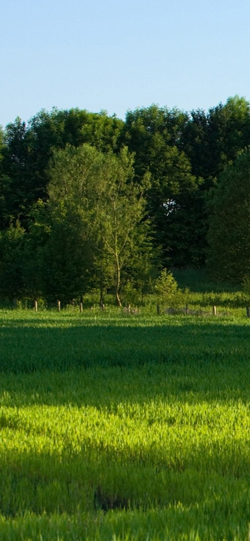 PeelitStickit, Beautiful Nature Wall Murals, ID-1457, vinyl