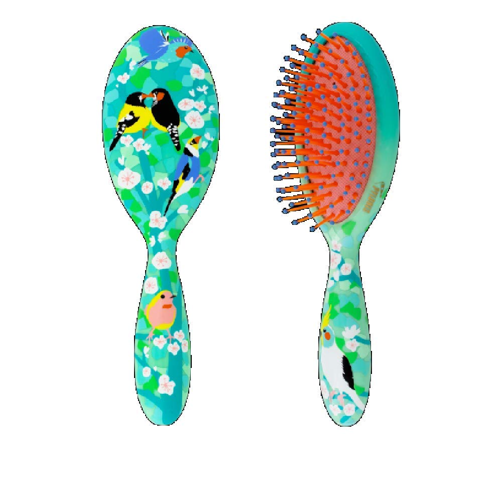 Pylones, Ladypop PM Birds Hair Brush