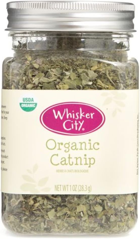 whisker city natural catnip