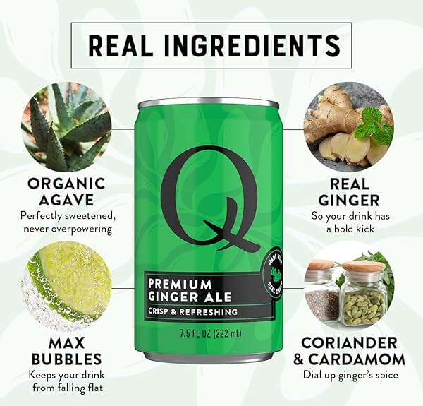 Q GINGER ALE WITH REAL GINGER & ORGANIC AGAVE – IDEAL FOR COCKTAILS & MOCKTAILS – MADE WITH REAL INGREDIENTS, PERFECTLY CARBONATED, & LESS SWEET – 60 CALORIES PER CAN – 7.5 FL OZ CANS (PACK OF 8)
