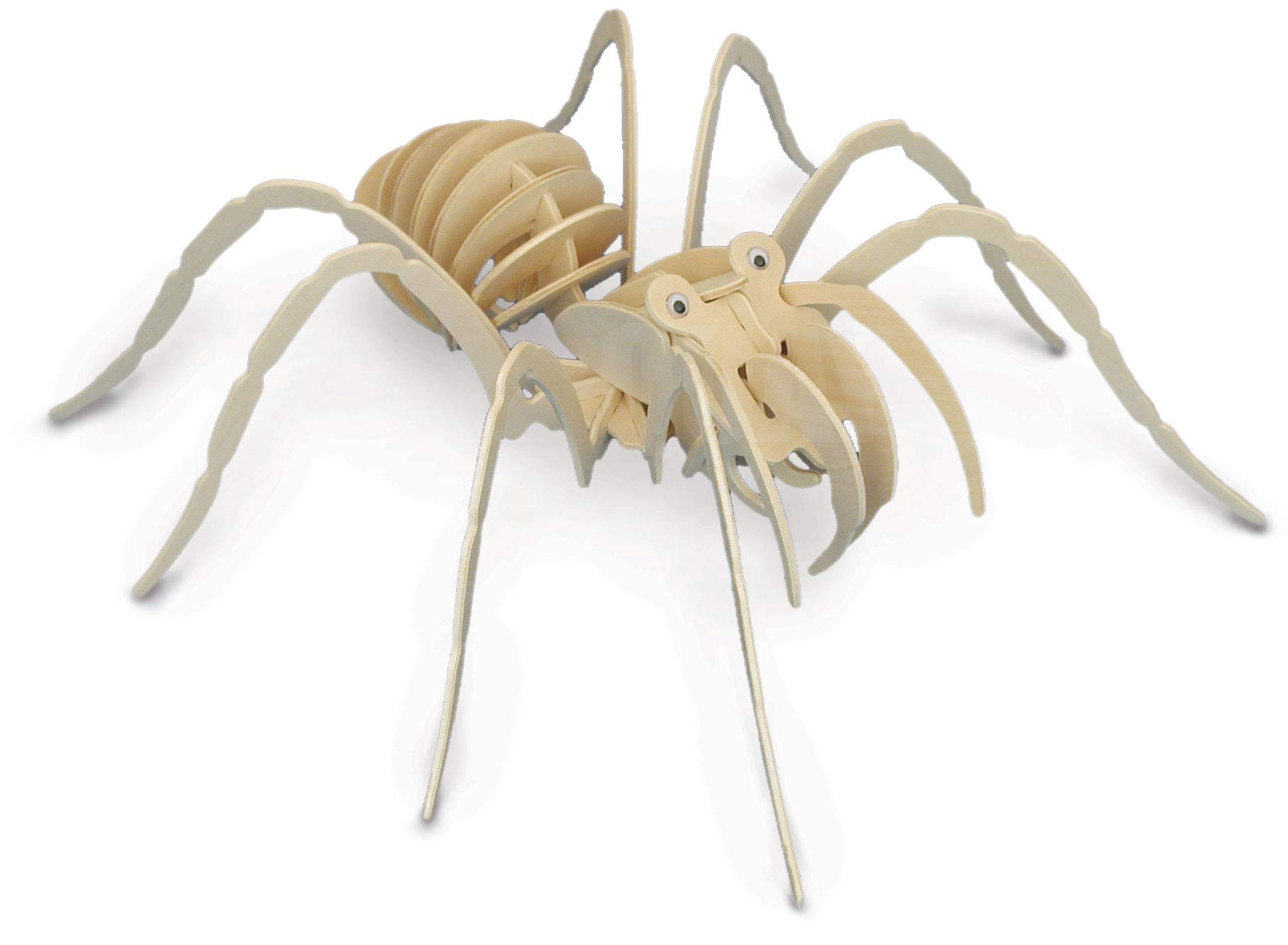 Quay Tarantula Woodcraft Construction Kit FSC