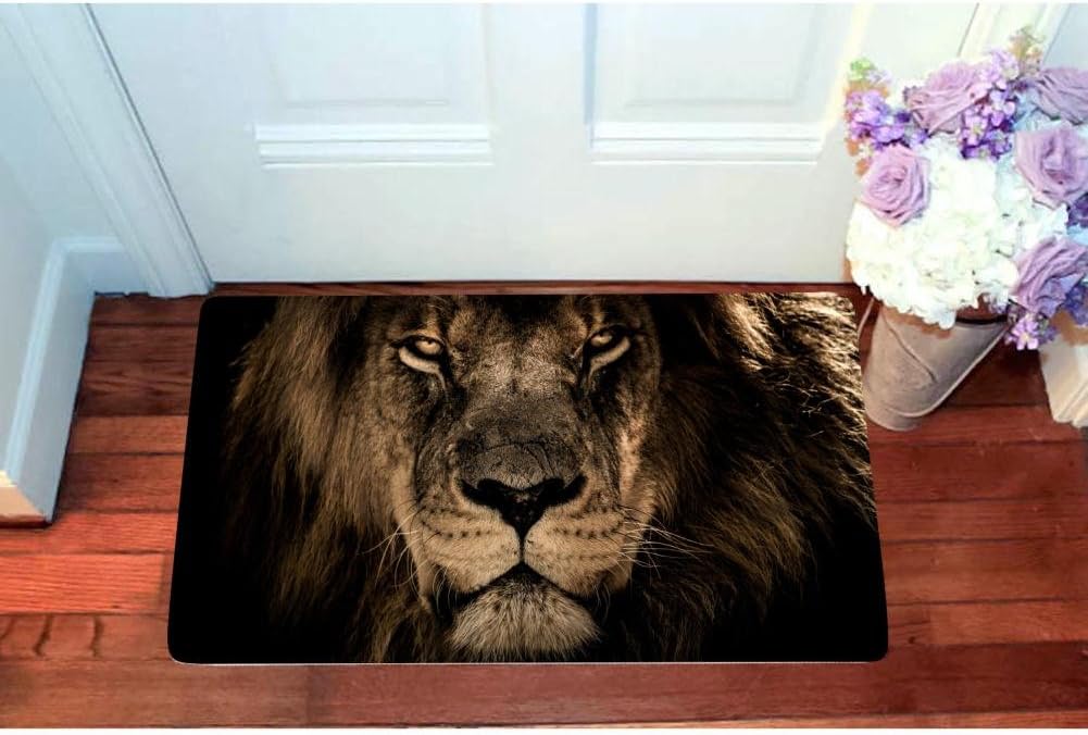 African King Leo Lion Entrance Door Mat Square Doormat Toilet Floor Mats Anti-skid Bath Rugs 15.7" X 23.5"-Inside Outside-DIY Custom Carpet