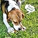 Pet Cuisine Dog Treats Puppy Chews Training Snacks,Chicken Wrap Knotted Bones-6.5