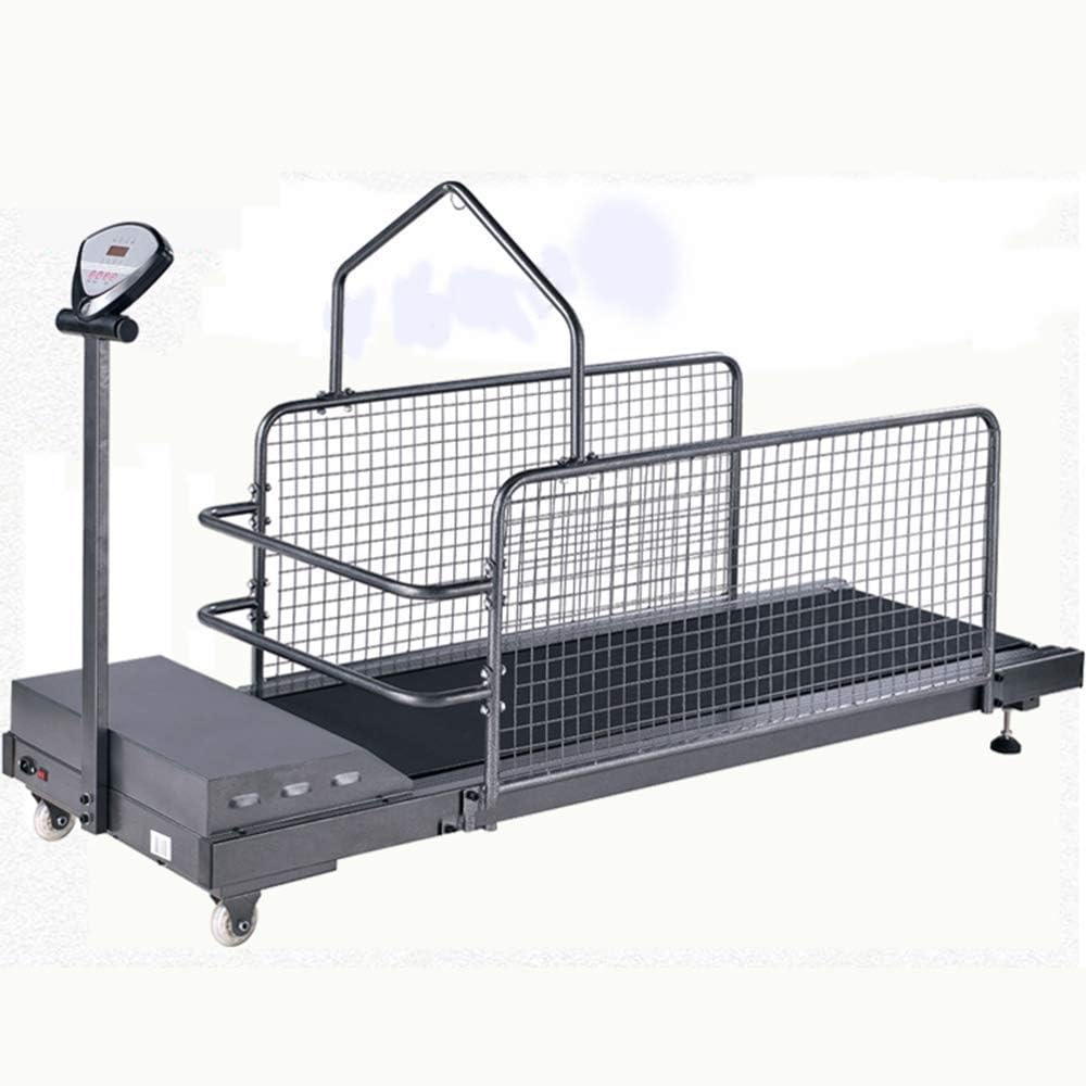 PILIBEIBEI Pet Treadmill Animal Treadmill Dog Supplies Fitness Pet Treadmill,with Display Screen And Guardrail, Indoor Exercise for Dogs Up To 100Kg