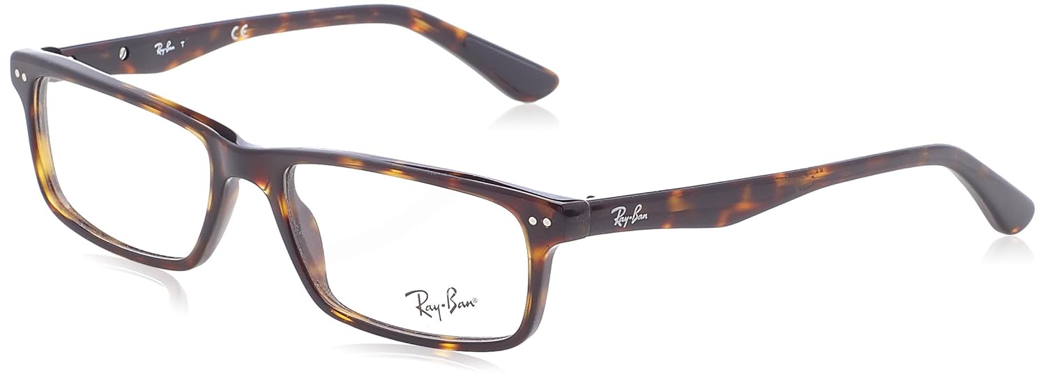 ray ban 5227