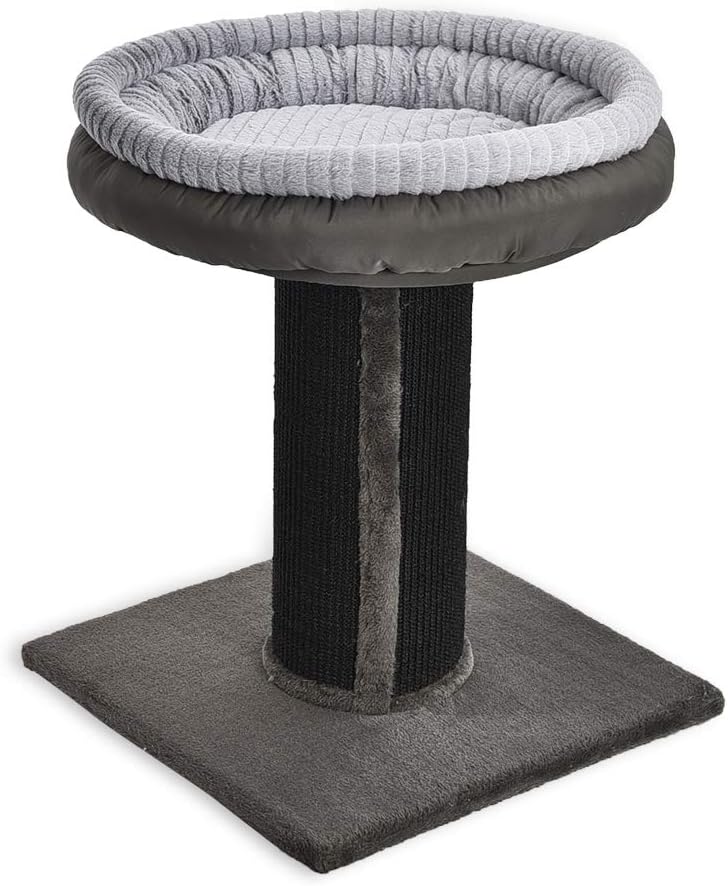 Basics Extra Large Cat Scratching Post Tree Tower With Bed, 19 x 19 x 26 Inches, Black : Pet Supplies