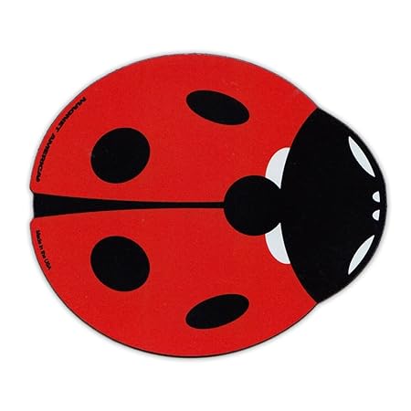 Imán para nevera, diseño de mariquita roja (texto en inglés