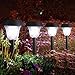 SANSUN Solar LED Path Light Outdoor Garden Lawn Landscape Waterproof Solar Stake Light (Set of 6)