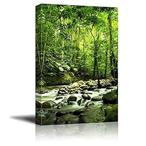 Beautiful Scenery Landscape Green Forest and River Home...