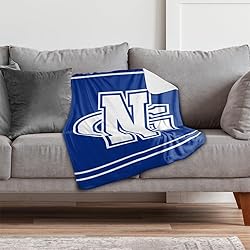 University of North Georgia Primary Logo Stripes