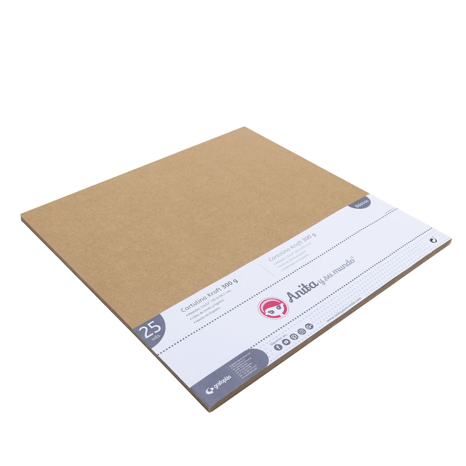 Anita and su Mundo Blister Pack of 25 Kraft Cardstock 300 g 12 x 12 inches, Multicoloured (37051149)