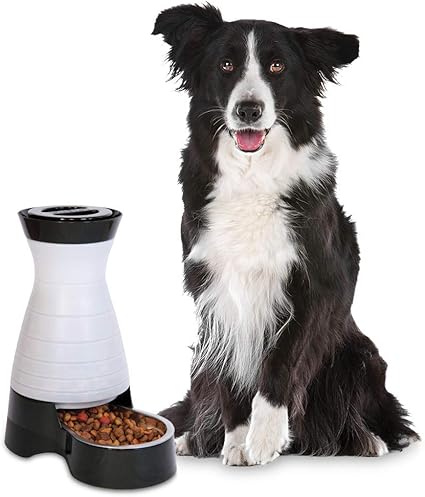 Amazon Com Petsafe Healthy Pet Gravity Dog And Cat Food Station