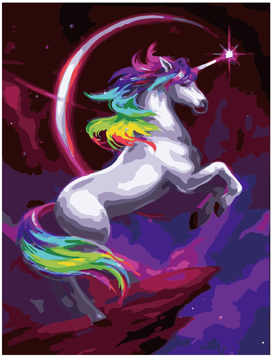 DREAMmar Paint by Number Kit - 40cm x 50cm DIY Oil Painting Kits for Adults and Kids - Pre-Printed On Textured Canvas - Acrylic Paints and Brushes Included - Adult Craft Kit (Unicorn - style1)