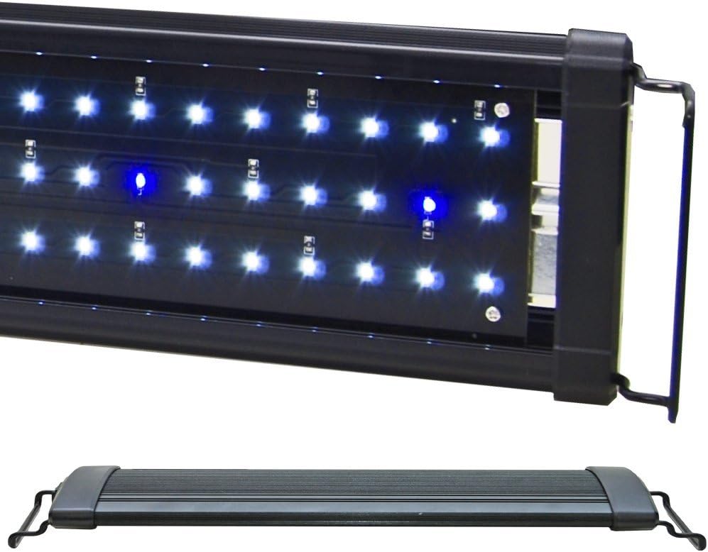 Beamswork LED 1W HI Lumen Aquarium Light Marine FOWLR Cichlid (DHL 48")