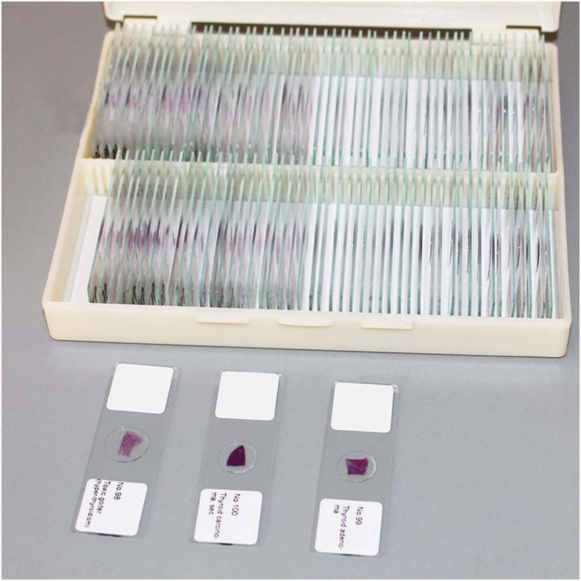 Microscope Accessories - Microscope Accessories Kit for Adult 100 PCS Microscope Slides for Biology Research Accessory