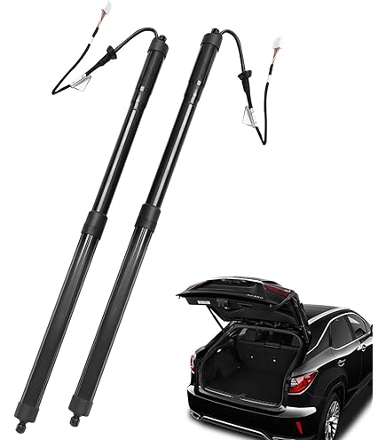 Amazon.com: BHNJUTM 1Pair Car Power Tailgate Lift Support 68910