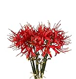XIZHI 5 Stems Artificial Spider Lily Flowers 23.6