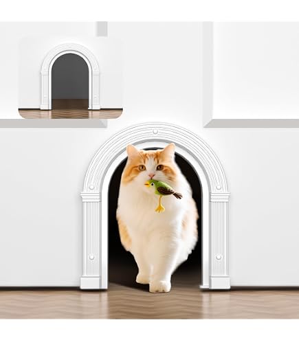 Amazon.com : The Kitty Pass Cat Door for Interior Door - Cat Hole