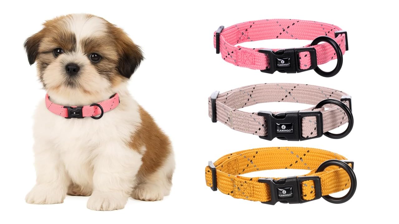 Flamingo Dog Collar Puppy Dolly Pink XS 20-35cm 10mm
