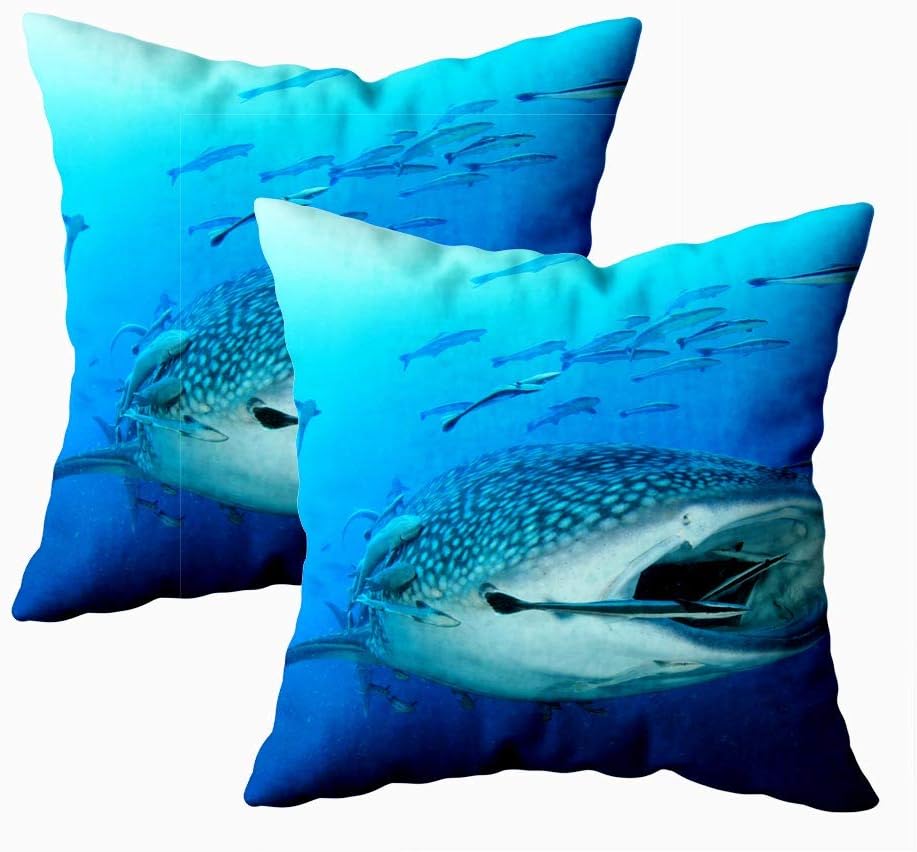 KIOAO Fall Pillow Case, Standard 2Sets 18X18Inch Soft Pillowcase Covers Whale Shark Underwater by Fish Remora Printed with Both Sides,Christmas Day