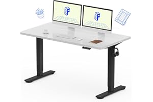 FLEXISPOT EC1 55 x 28 Inches Electric Stand Up Desk Workstation Home Office Computer Standing Table Height Adjustable Desk (B
