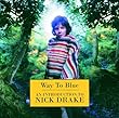 Way To Blue - An Introduction To Nick Drake