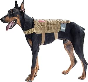 coyote vest amazon