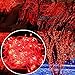 Autolizer 100 LED RED Fairy String Lights Lamp for Xmas Tree Holiday Wedding Party Decoration Halloween Showcase Displays Restaurant or Bar and Home Garden - Control up to 8 modes