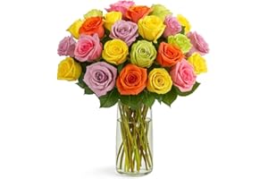 BloomsyBox MultiColored Real Roses Bouquet - Two Dozen Rainbow Roses, 25 Long Stems, Long Lasting & Hand-Tied Flower Arrangement, Farm Fresh Flowers Bouquet, Live Floral Arrangement for Gift | No Vase