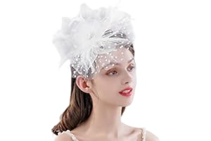 HIWIND Fascinators Hat Women Tea Party Headband Flower Cocktail Mesh Feathers Hair Clip Kentucky Derby Hat Wedding